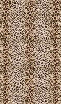 100% Cashmere Schal F1 TLP 52