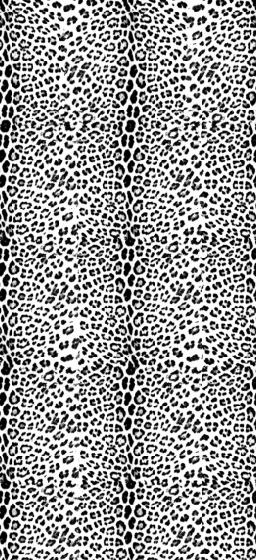 100% Cashmere Schal  F1 TLP 50 KL – Bild 2