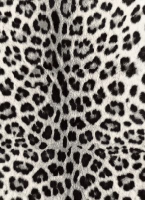 100% Cashmere Schal F1 TLP 50